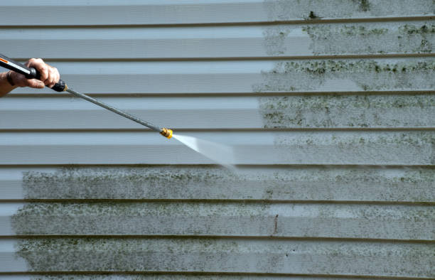 Best Crawl Space Mold Removal  in Ledbetter, KY